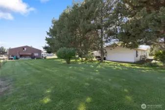 Underground Sprinkler System for the Yard makes the lawn maintenance easily feasible!