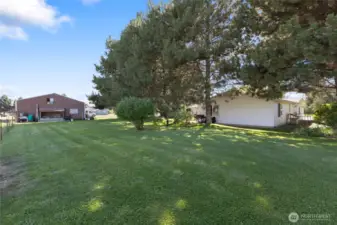 Underground Sprinkler System for the Yard makes the lawn maintenance easily feasible!