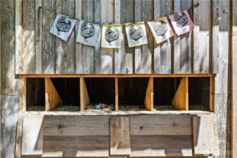 Oh... You have to see the Chicken Palace...