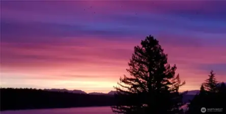 East facing Cedar Park rambler with amazing Lake Washington and Cascade Mountain views! Capture the amazing colors of the sunrise from your Living and Family Rooms!