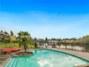 Sparkling lake side pool!