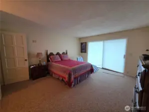 primary bedroom with sliding glass doors to patio