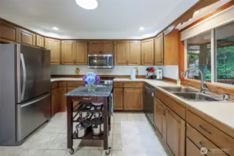 Kitchen w/stainless steel appliances looking out to backyard.