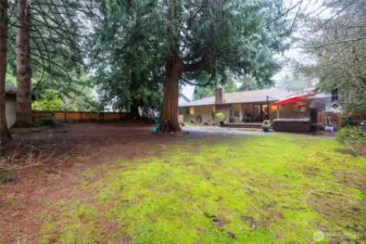 Greenbelt privacy on 2 sides of backyard.