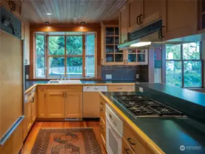 Both refrigerator & dishwasher have wood panel coverings to make these blend with the cabinets.