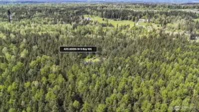 19 acres of trees, one cleared acre.