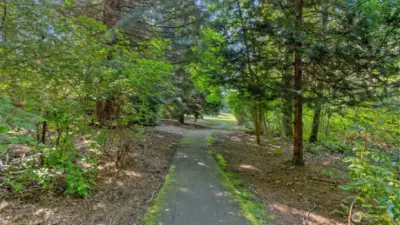 Walking paths in 7 acre neighborhood private park.