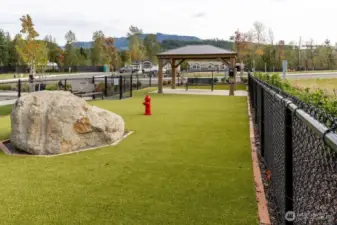 Dog Park