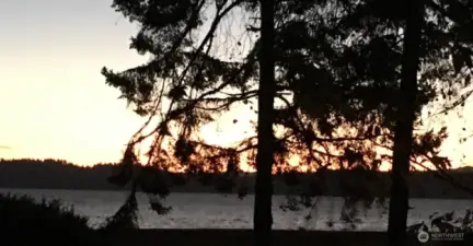 View from backyard