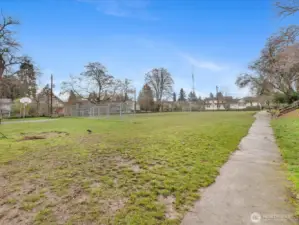 Another view of the park across the street.