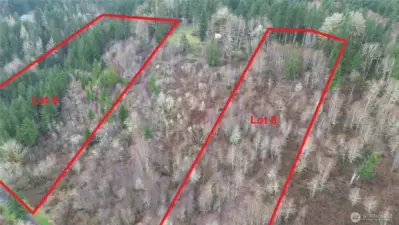 Both lots 6 and 8 are available. Neighbor in between on lot 7 has done some clearing.