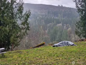 Neighboring property has been cleared to open their views