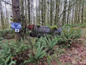 Old logging apparatus left on the site.