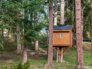 Cute tree house also has multi-use concrete pad  great for  picnic and fire pit.  Lots of room to play!