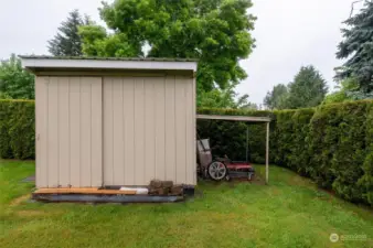 Backyard shed