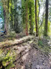 This lot is surprisingly large, come walk the trail and get to know it.