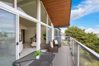 Large view deck with storage