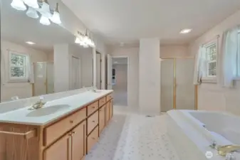 Primary 5-piece bath with soaking tub, walk in closet.