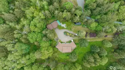 Drone Overhead