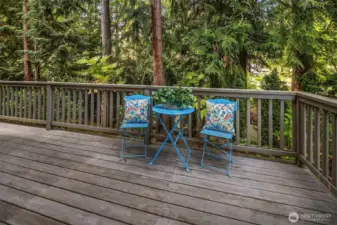 Deck overlooking a lush backdrop of mature trees.