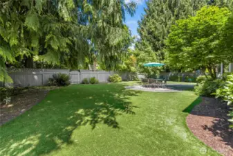 Professionally turfed yard