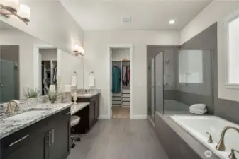 Stunning primary bath with Quartz counter, split sinks and a vanity! Tile flooring, tub deck and shower and a substantial walk-in closet with custom built-ins.  Window has remote powered custom window coverings.