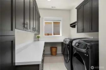 The Smart Space is a combo laundry/craft/mud room conveniently located between the oversized garage and the kitchen.  Tons of counterspace and storage!