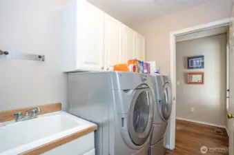 Large utility area offers functionality with a deep sink and easy organization.