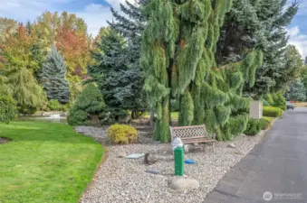 Picturesque community setting with tranquil ponds, and sparkling fountains.
