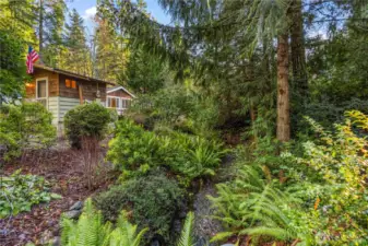 The stream that runs though the property