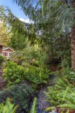 The creek coming through the property.