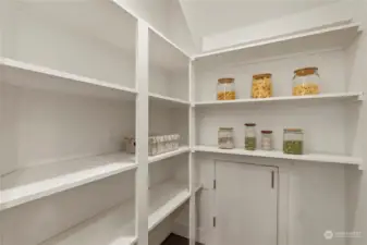 Roomy pantry with extra storage behind the small door.