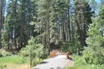 Open Space behind property with walking trail to Nelson Farm