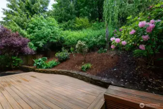 From this gracious gathering space, you'll enjoy hosting a lively evening with friends or curling up with a book on a quiet afternoon. Tucked in throughout the property are numerous fruit trees and bushes-fig, pomegranate, Rainier and Bing cherries & plum!