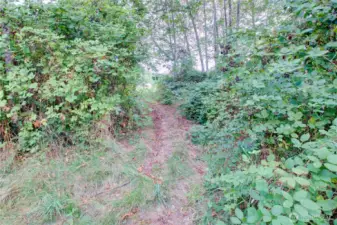 Access to the campsite