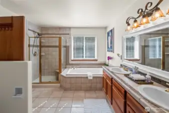 Stand up shower and jacuzzi tub too!