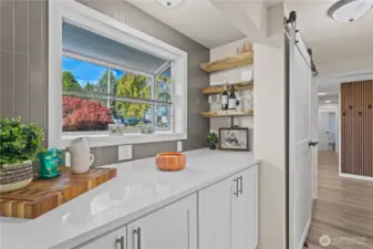 Pantry with built in cupboard, shelves and quartz countertop. Never run out of what you need for the kitchen.