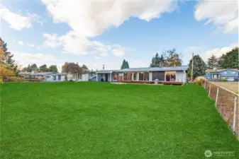 Back yard area (photo edited for yarr potential