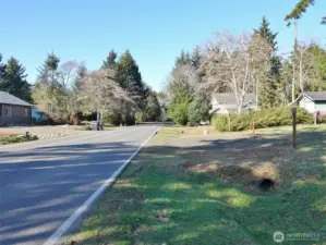 North view of Duck Lake Dr SE (lot is on the right).