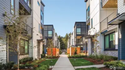 Rendering of a similar community