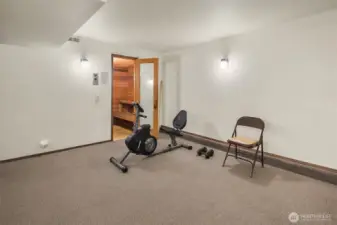 Recreation room featuring gym equipment and sauna.