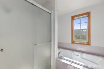 Step in shower and jetted tub.