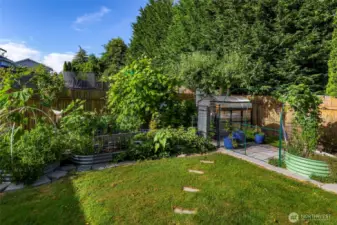 Thriving garden