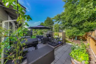 Picture from the side yard area