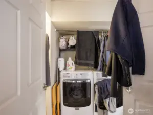 Downstairs laundry