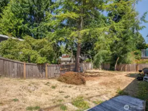 Side yard