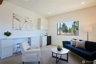 Lower level bonus/family room