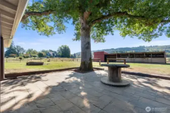 Beautiful back patio overlooking the barn area