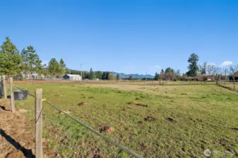 Weed & seed used yearly for great pasture grass.
