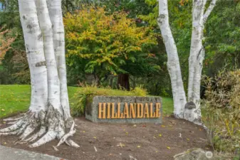 Welcome to private and peaceful Hillandale - just moments away from downtown Winslow, the ferry, parks, ballfields, and schools.